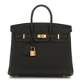 Togo Birkin 25 Eucalyptus