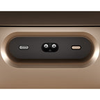 Bowers & Wilkins Zeppelin Pro Edition Wireless Speaker (Solar Gold)