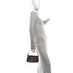 Damier Ebene Navona Pochette Accessories