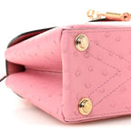 Ostrich Rose Des Vents Mini Pink