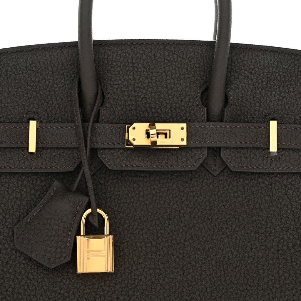 Togo Birkin 25 Eucalyptus