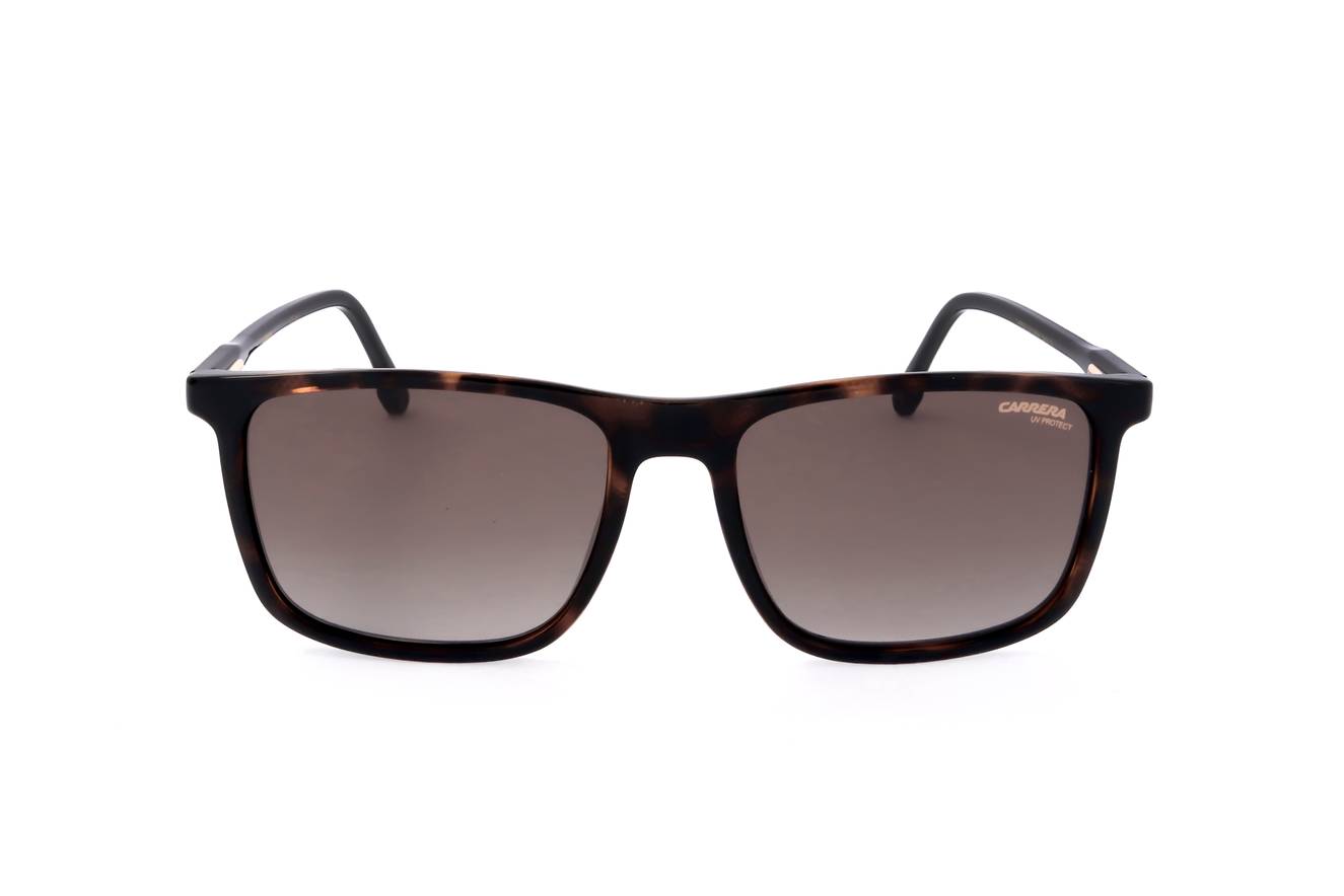 Carrera CARRERA 231/S