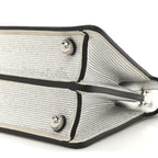 Crystal Vitello Laminato FF Petite Peekaboo I SEE U Satchel Crystal Argento