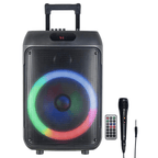 12-Inch Portable Bluetooth Party Speaker