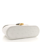 Ostrich Vanity Chain Pouch