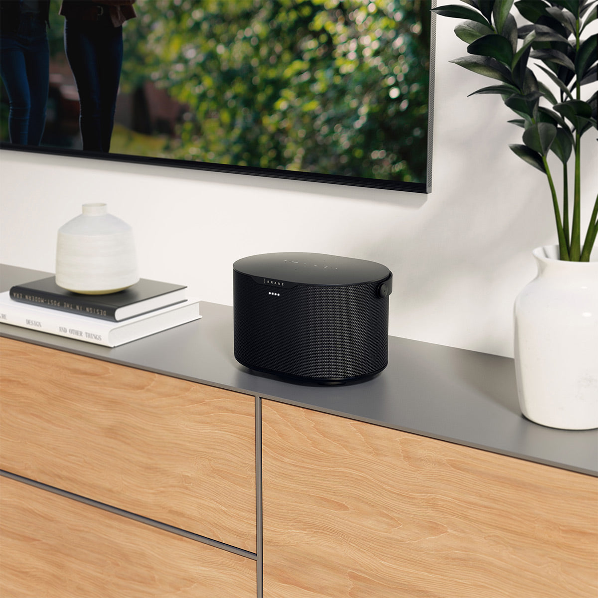 Brane Audio Brane X Portable Bluetooth Speaker