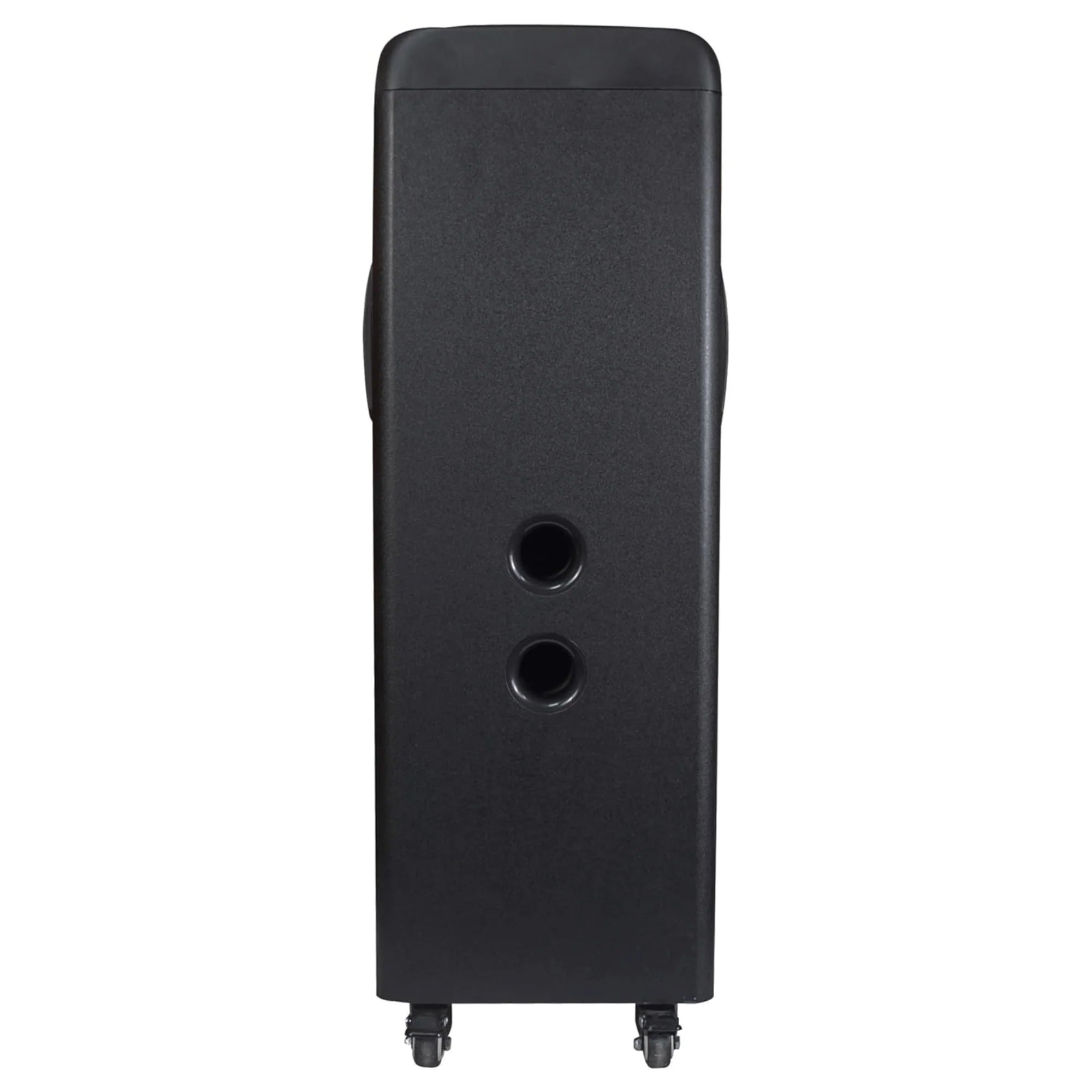 Torusflex 2X10-Inch Portable Bluetooth DJ Speaker