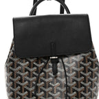 Goyardine Calfskin Mini Alpin Backpack Black