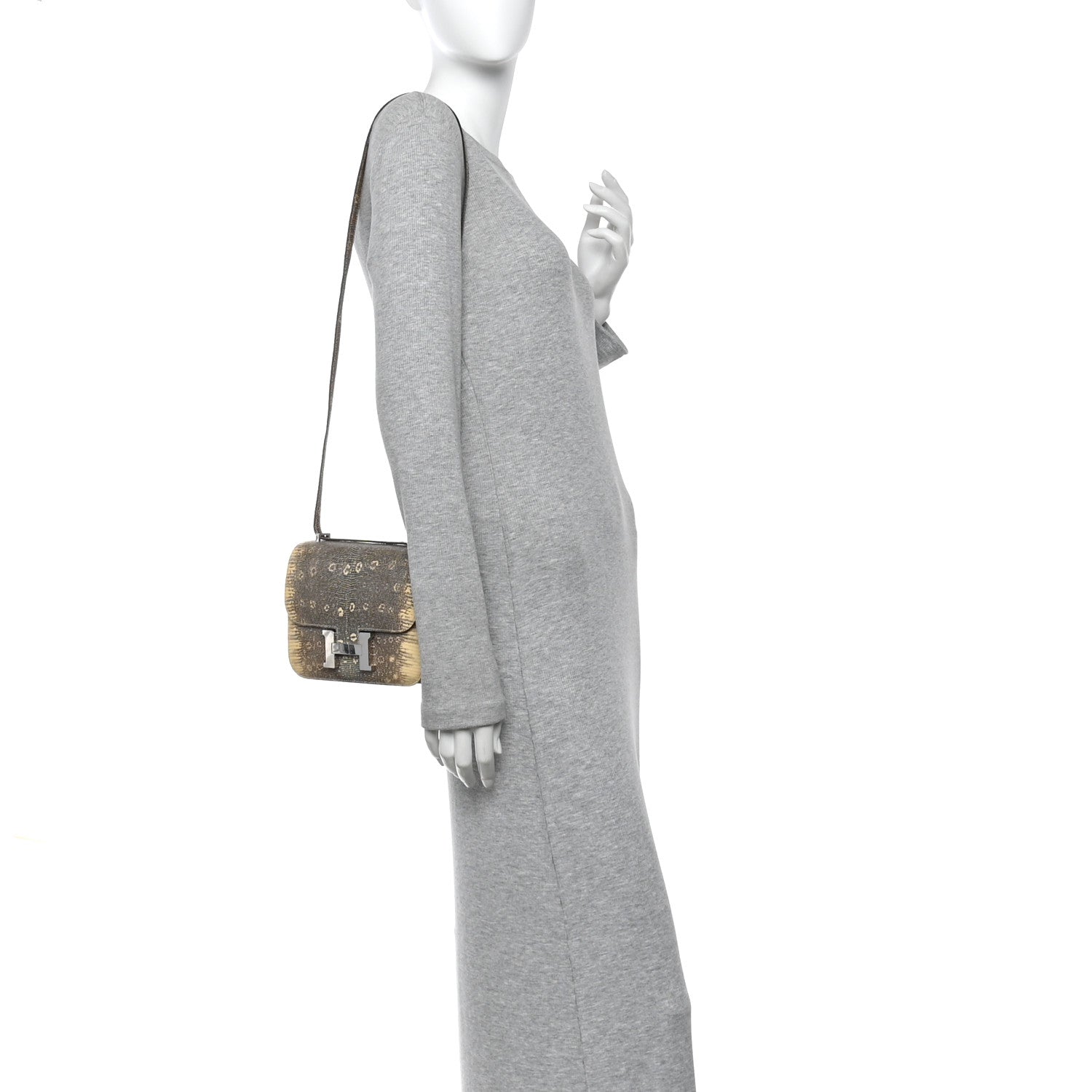 Lizard Constance 18 Ombre