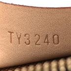Monogram Nano Speedy