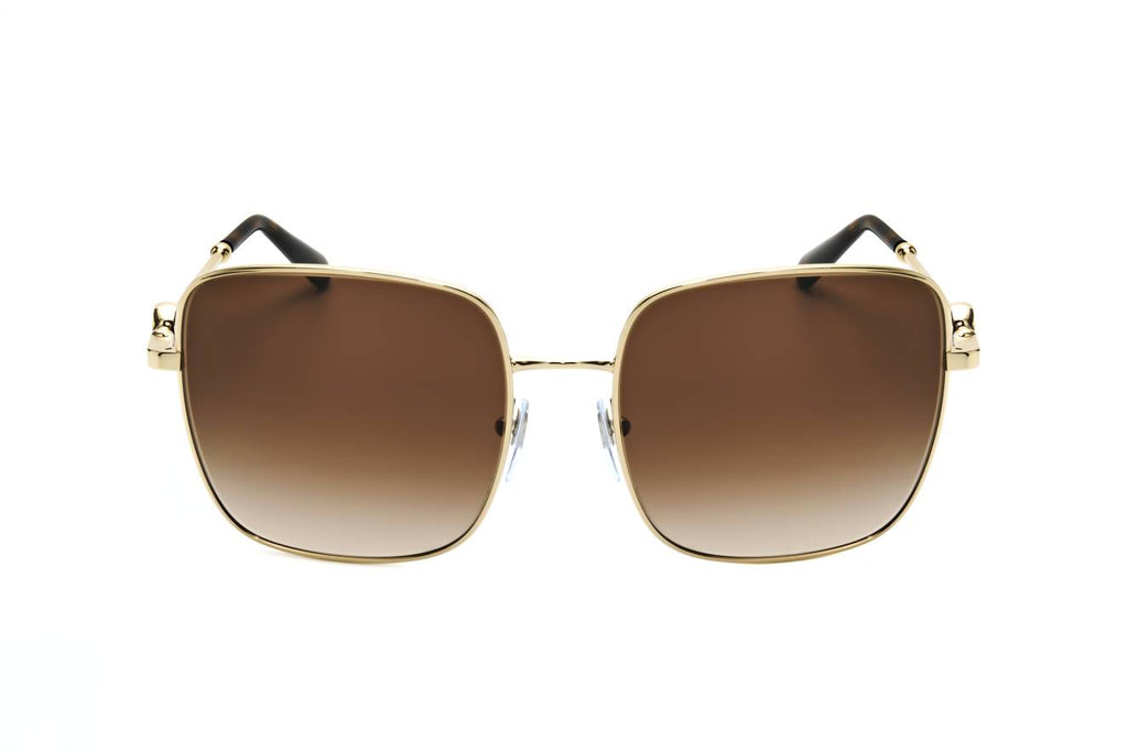 Bulgari 0BV6165 278/13