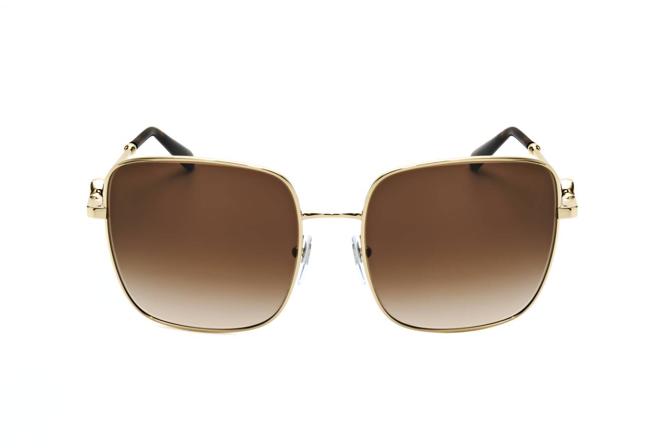 Bulgari 0BV6165 278/13