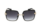 Bulgari 0BV6167B 20148G