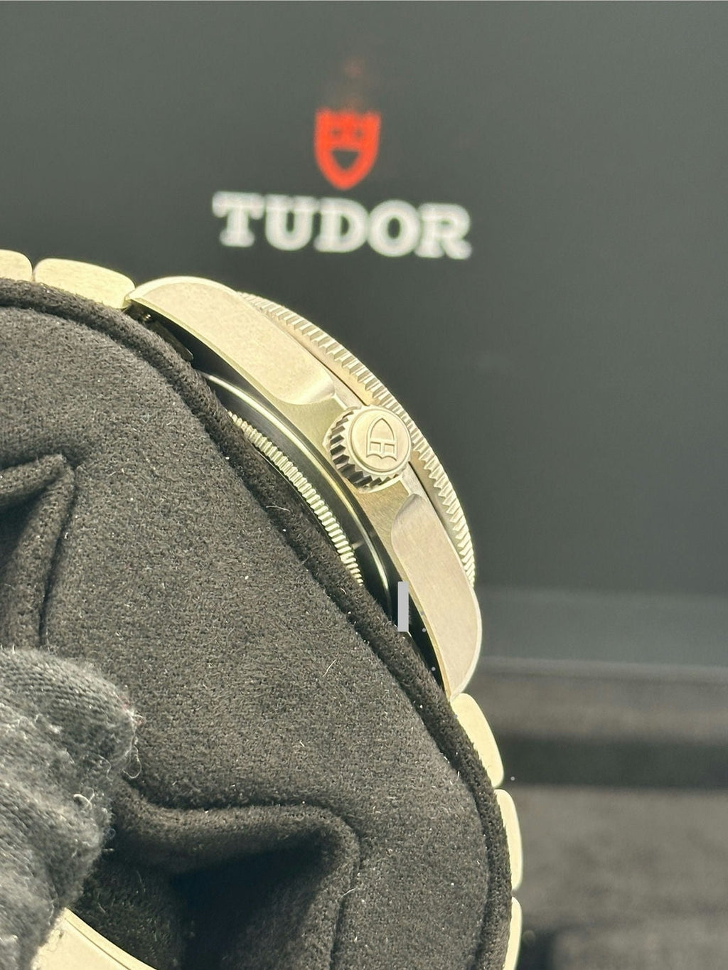 Tudor Pelagos Titanium 39 Ref - M25407N