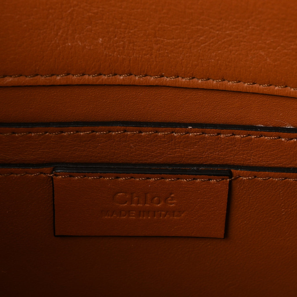 Calfskin Snakeskin Embossed Small Roy Bag Multicolor