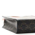 Triomphe Canvas Calfskin Mini Vertical Cabas Tan