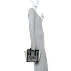 Baby Grained Calfskin Nano Tri-Color Luggage Zinc Almond