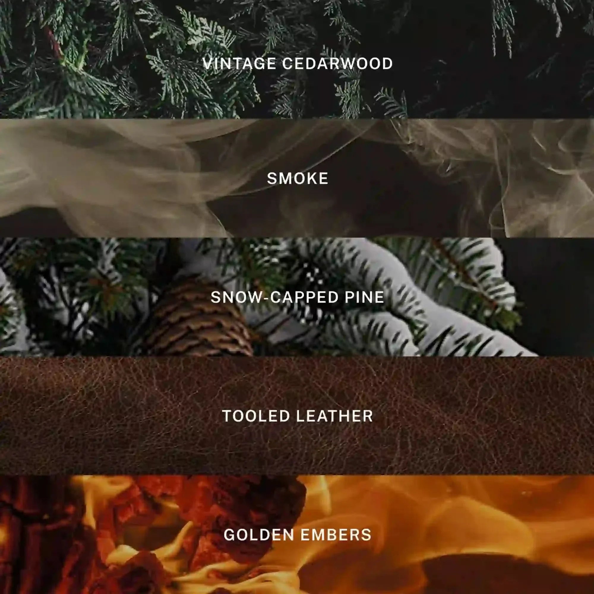 Aspen Candle