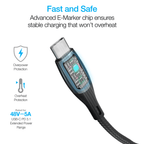 DigiWATT USB-C to USB-C Digital LED Cable 12ft