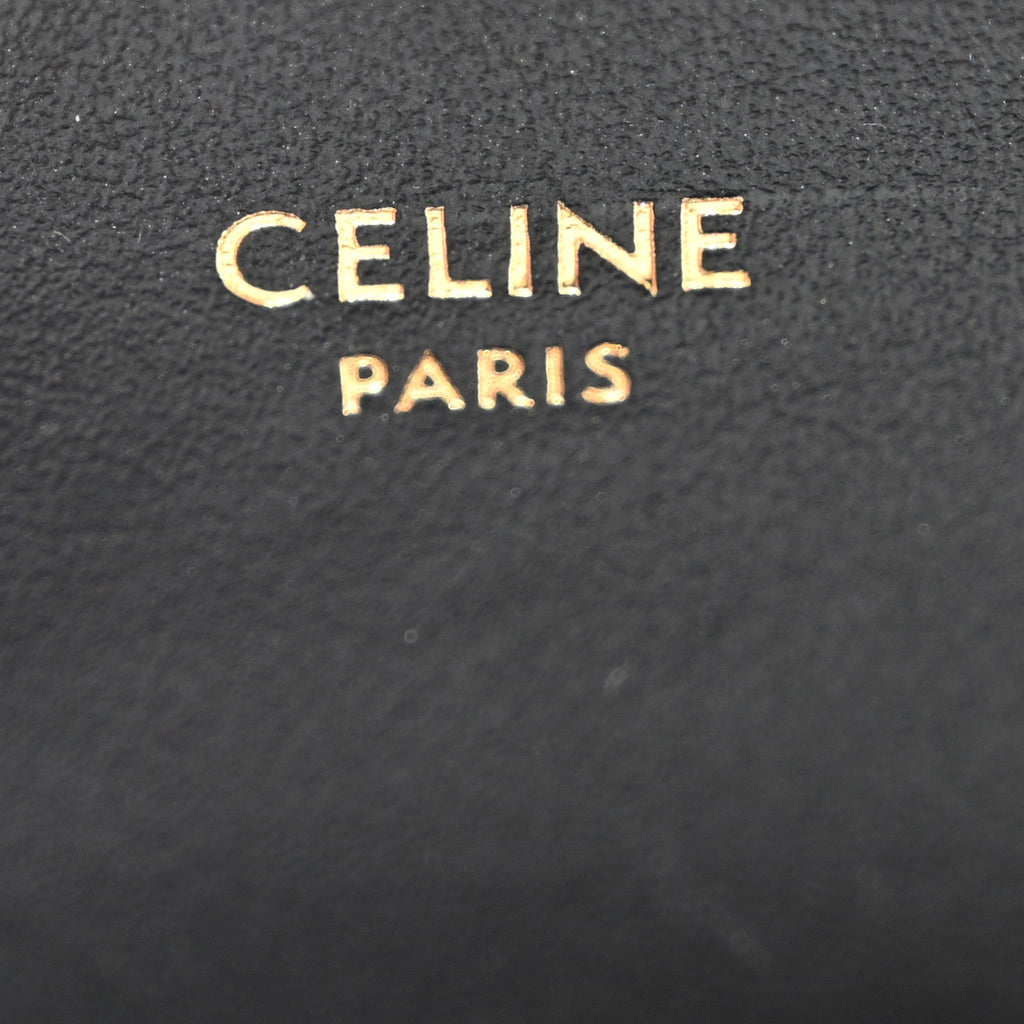 Shiny Calfskin Mini Triomphe Black