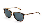 Ferragamo SF910S 216