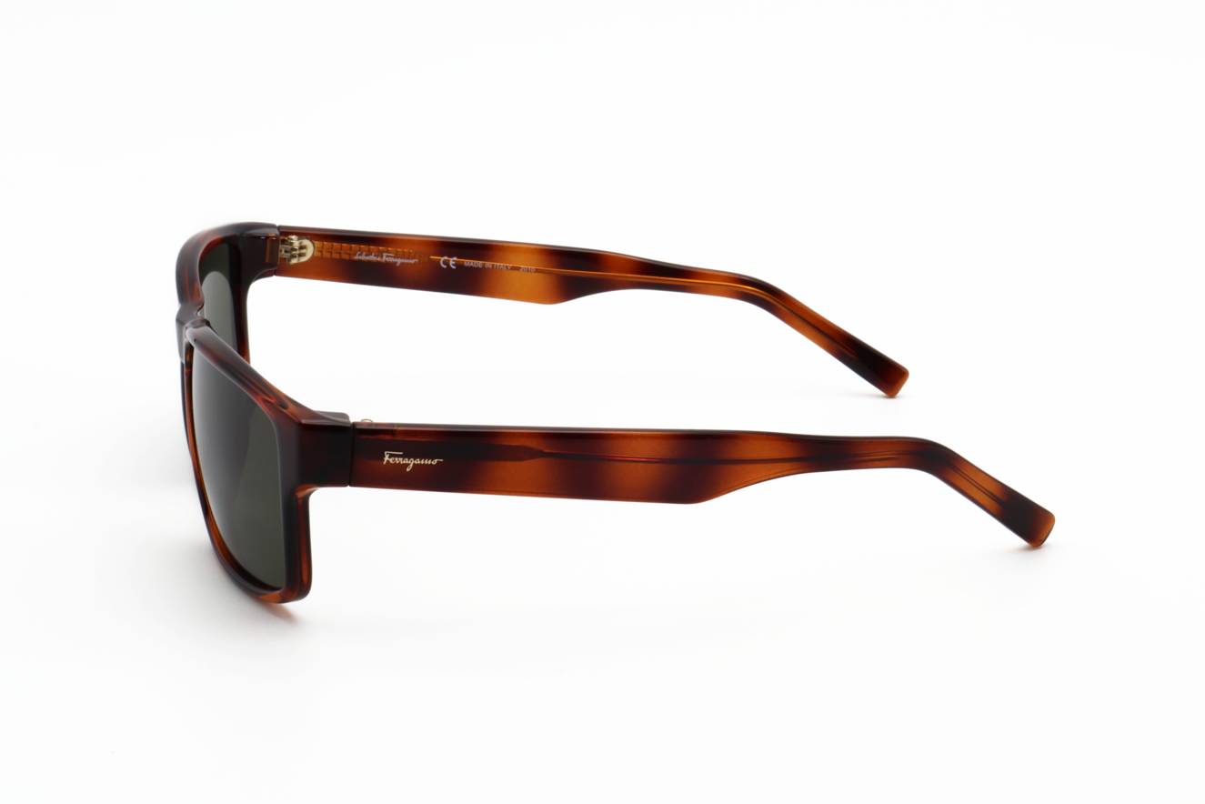 Ferragamo SF960S 214