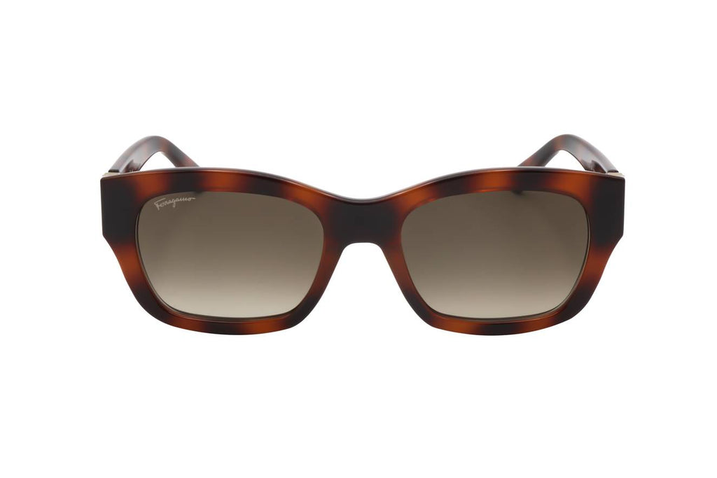 Ferragamo SF1012S 214