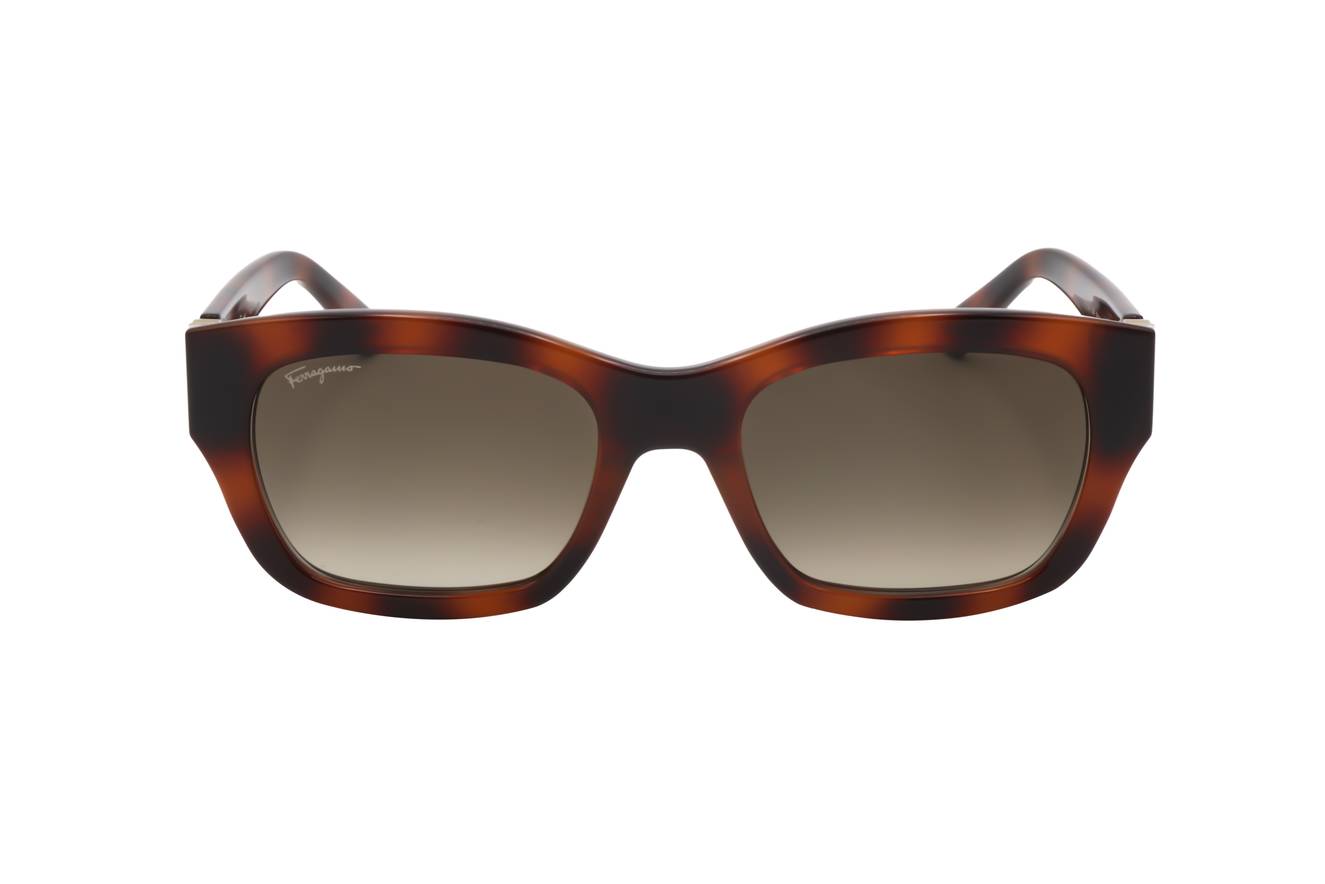 Ferragamo SF1012S 214