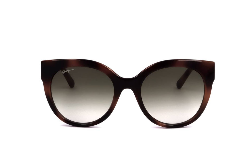 Ferragamo SF1031S 214