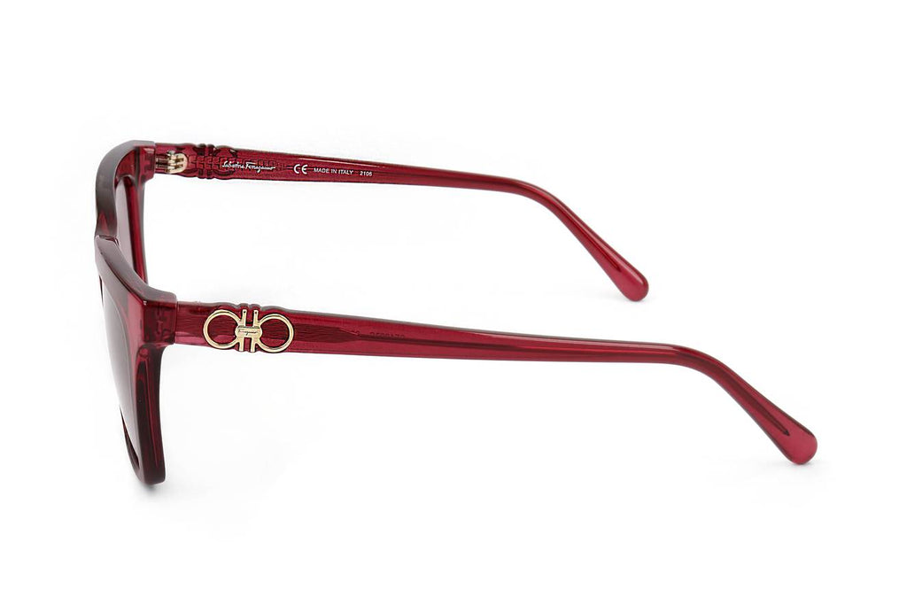 Ferragamo SF1027S 655