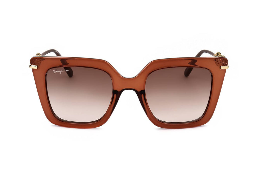 Ferragamo SF1041S 232