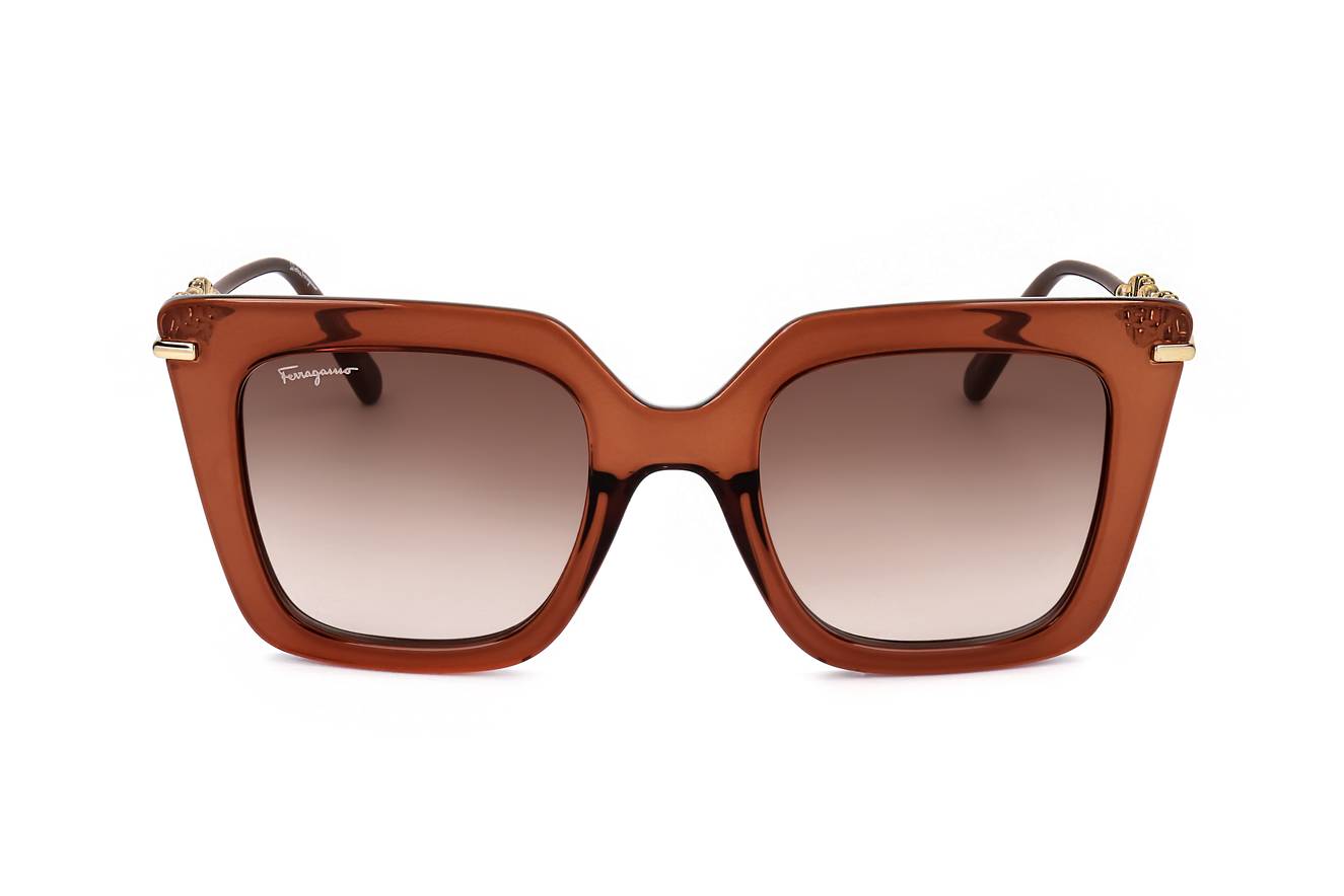 Ferragamo SF1041S 232