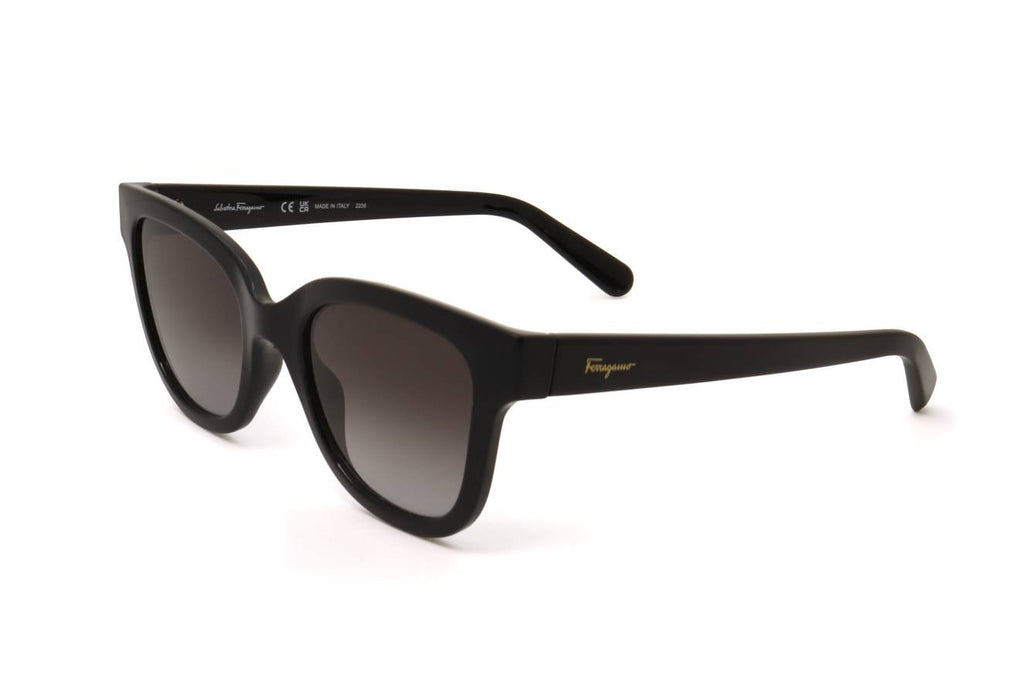 Ferragamo SF1066S 001
