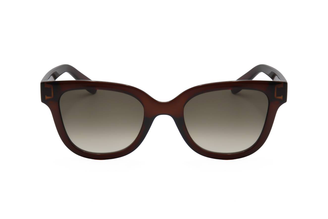 Ferragamo SF1066S 210
