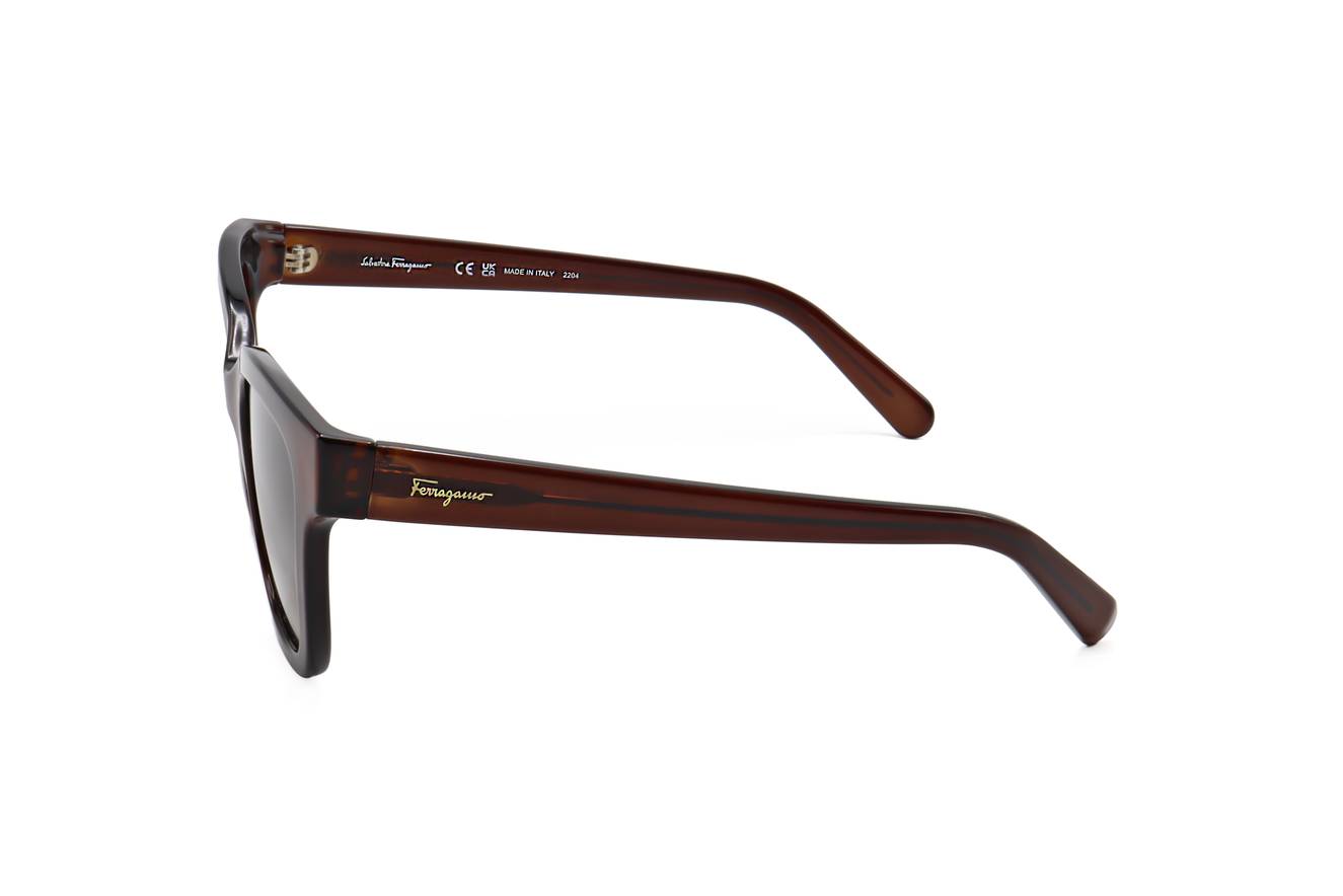 Ferragamo SF1066S 210