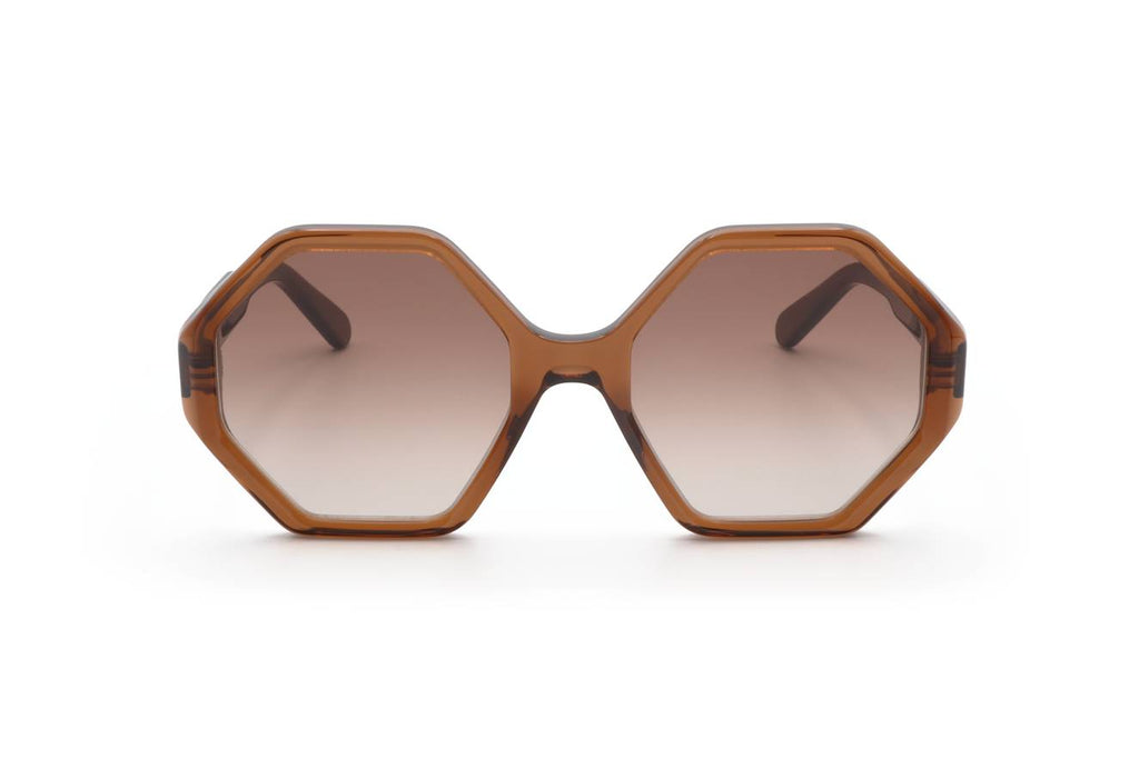 Ferragamo SF1070S 210
