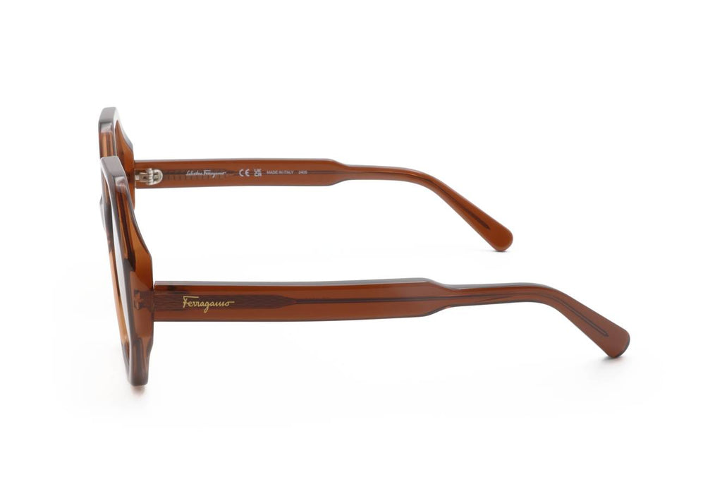 Ferragamo SF1070S 210