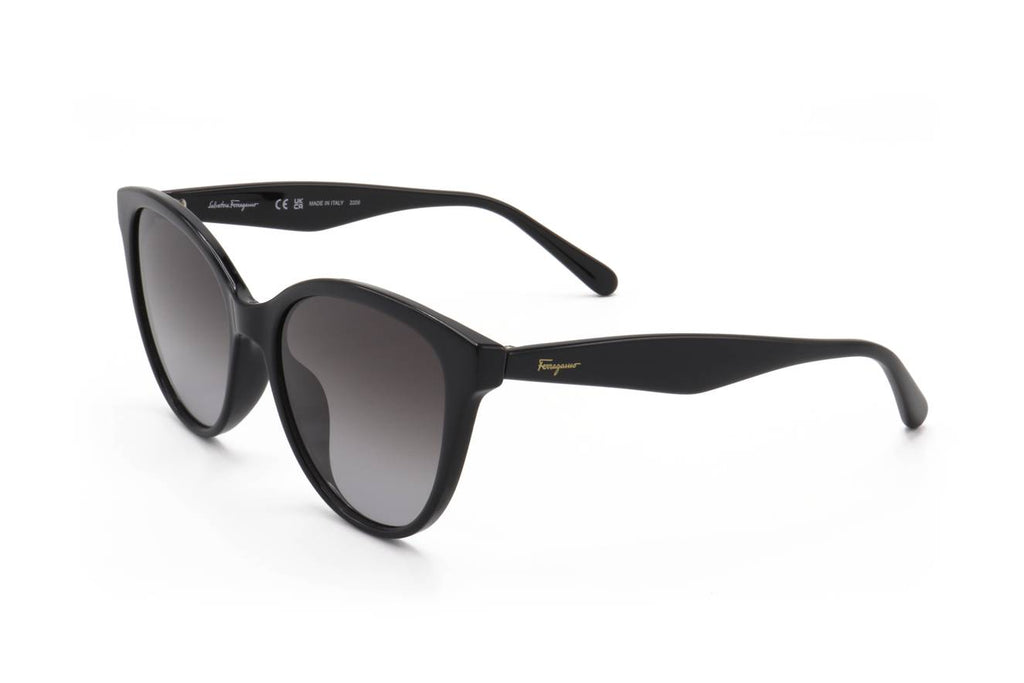 Ferragamo SF1073S 001