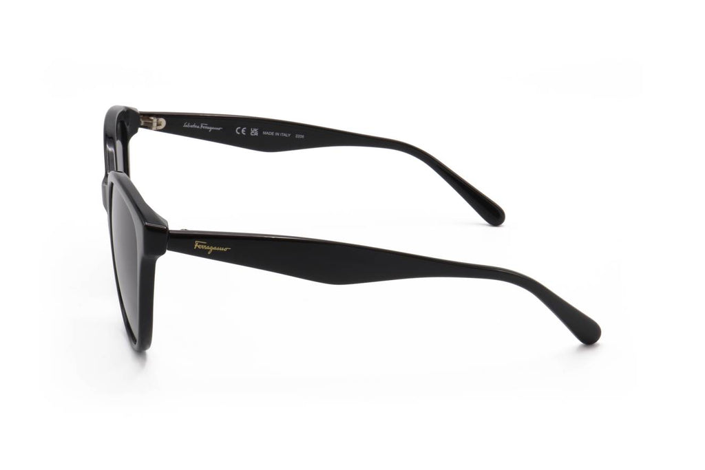 Ferragamo SF1073S 001