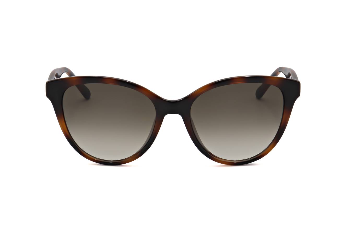 Ferragamo SF1073S 240