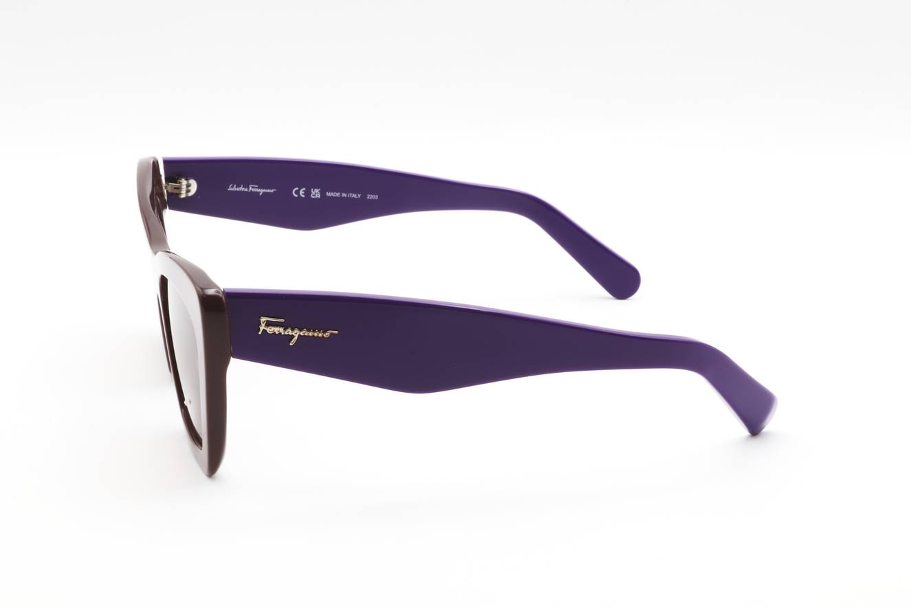 Ferragamo SF929S 209