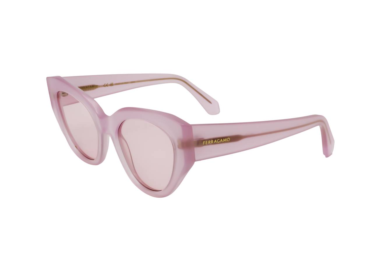 Ferragamo SF1107S 663