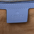 Calfskin Embroidered Medium Sylvie Top Handle Bag Clear Sky Blue