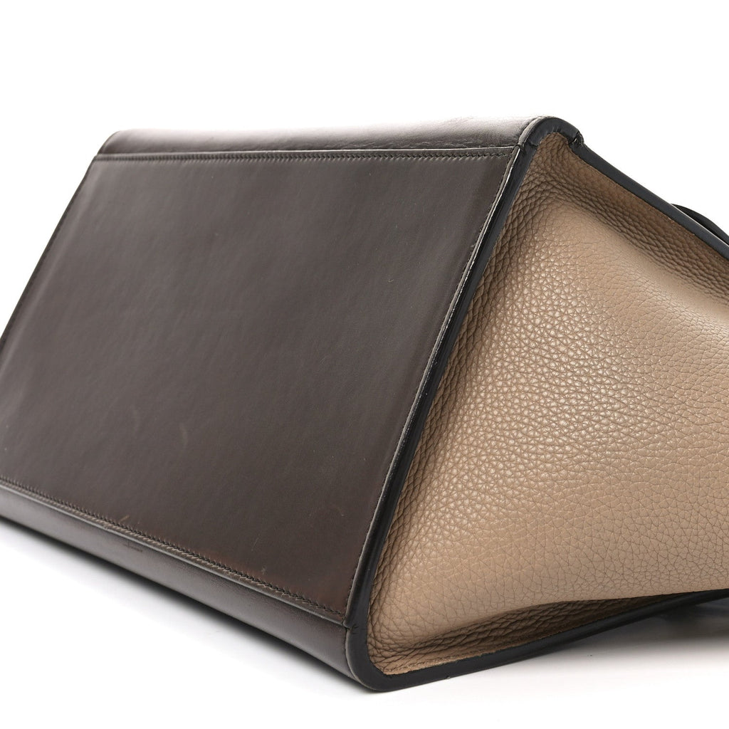 Sleek Calfskin Tri-color Small Trapeze Wine