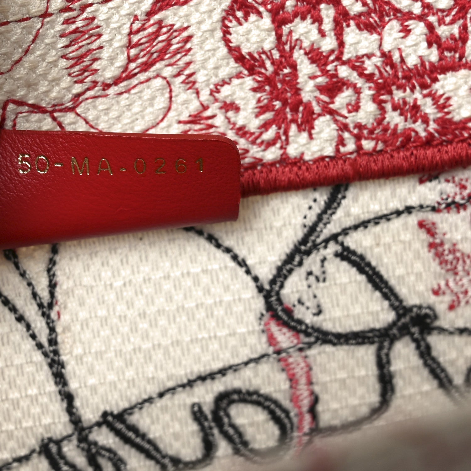 Canvas Embroidered Medium Dioramour D-Royaume Book Tote Red Multicolor