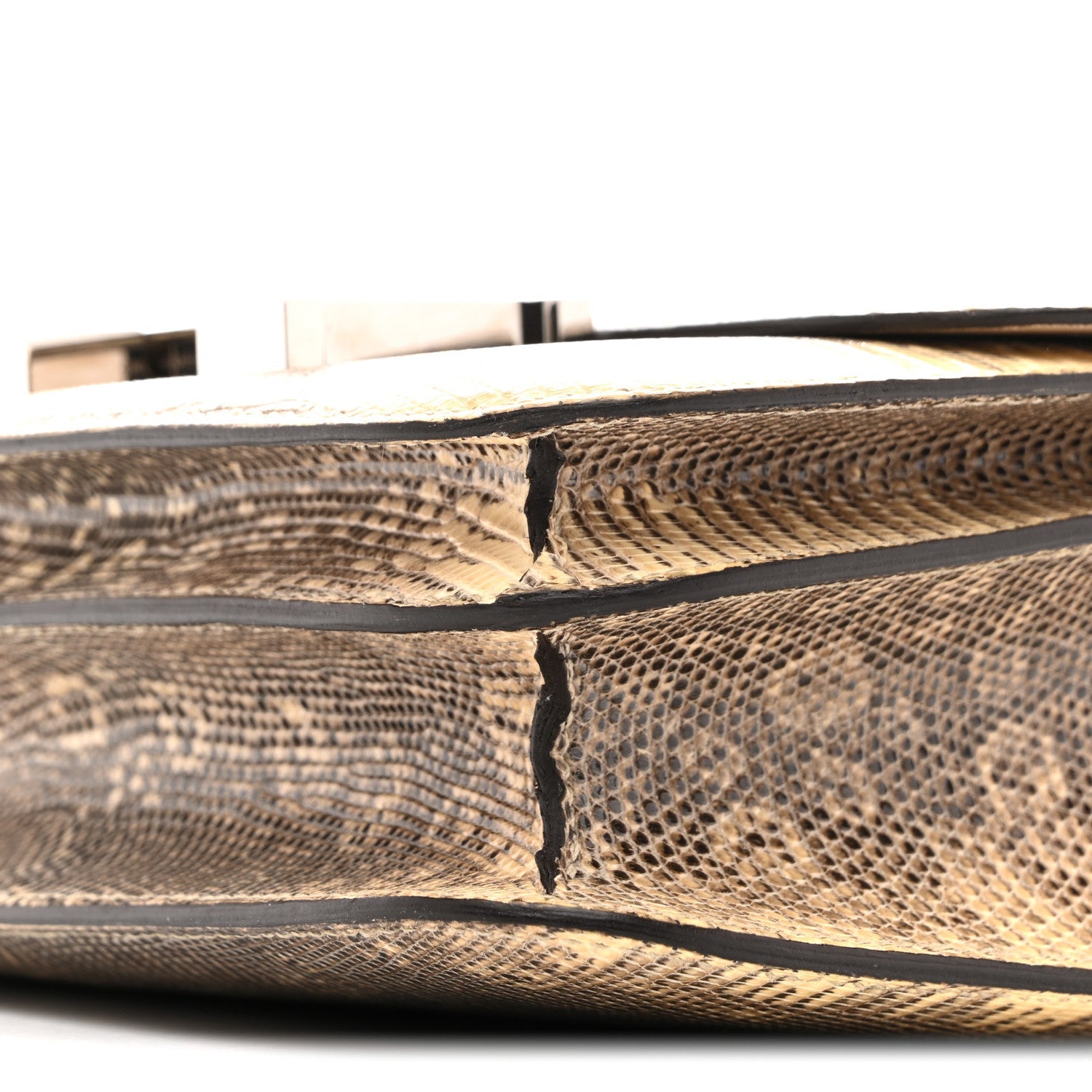 Lizard Constance 18 Ombre