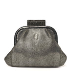 Stingray Degrade Frame Clutch Silver