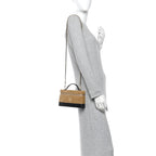 Suede Calfskin Shiny Lambskin Quilted Top Handle Slim Vanity Case With Chain Beige Black