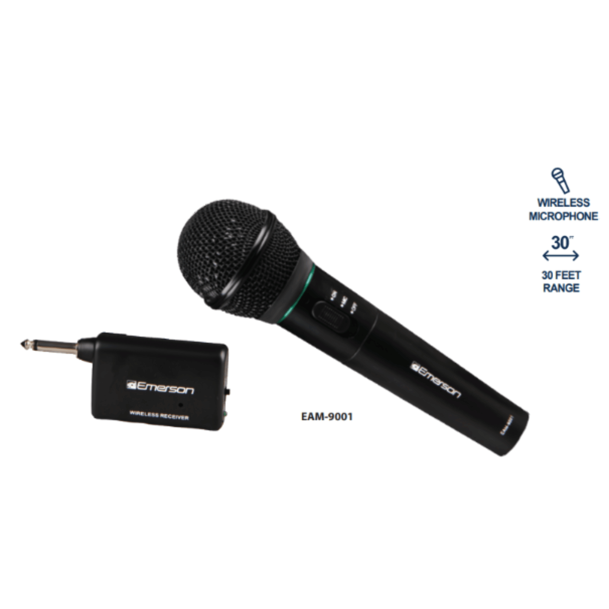 Professional Microphone Kit with Wireless Receiver
