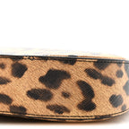 Canvas Calfskin Medium Tilly Triomphe Shoulder Bag Leopard